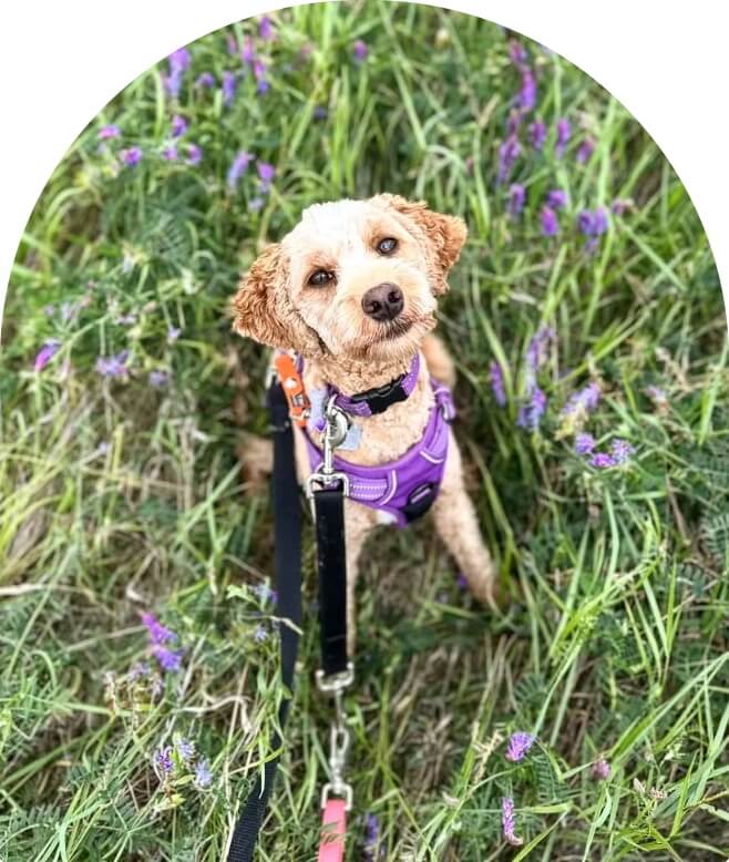 Approach matters friendly image