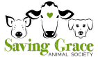Saving grace small image