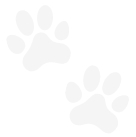 Dog foot prints image